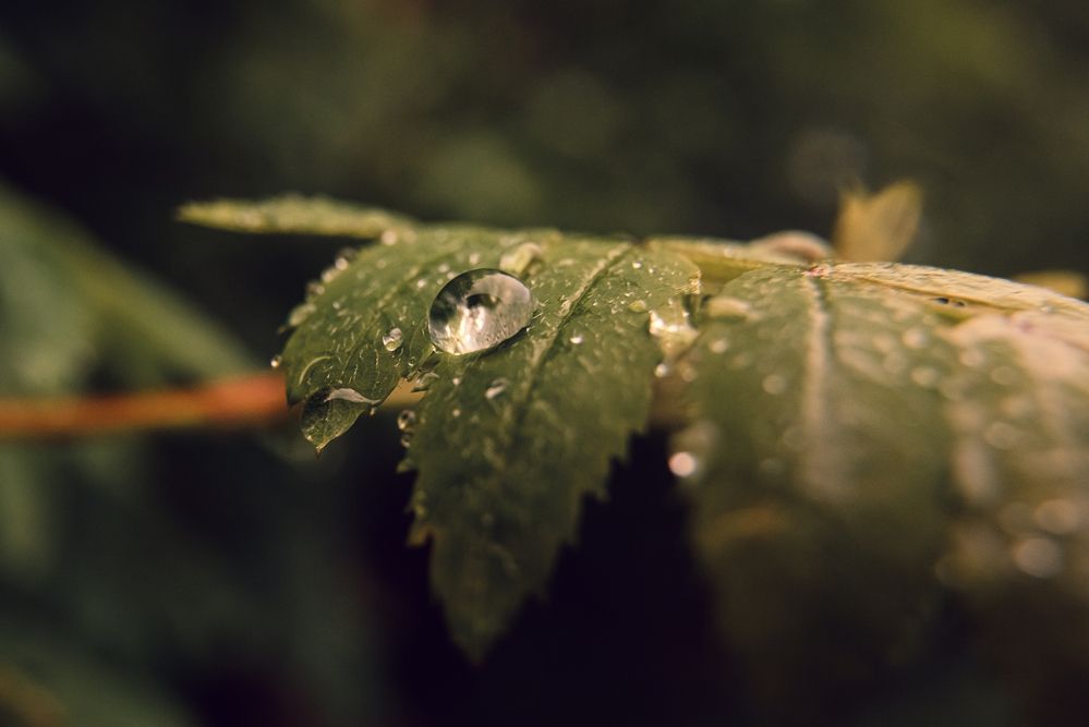 Photograph by Кончакова Дарья