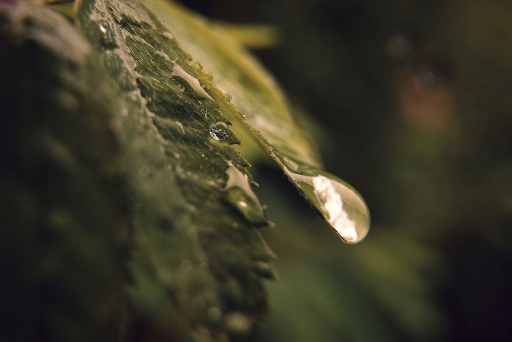 Photograph by Кончакова Дарья