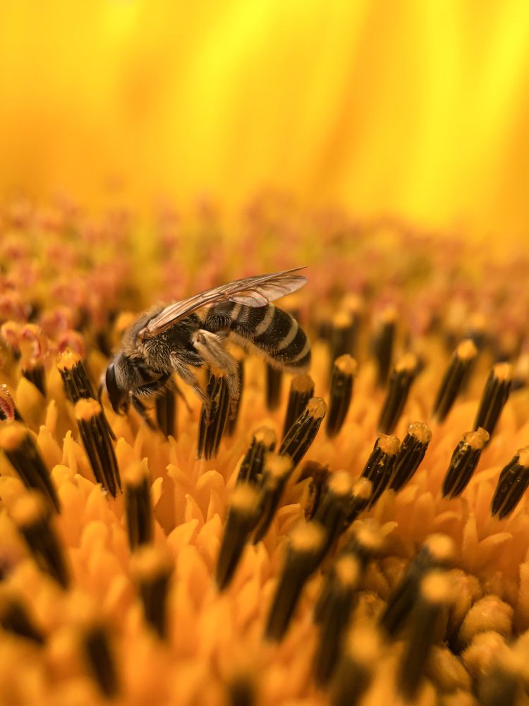 Photograph by Lyudmila Konigina