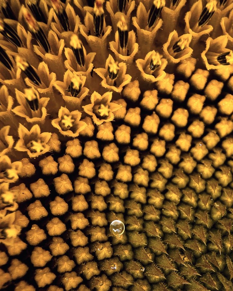 Photograph by Lyudmila Konigina