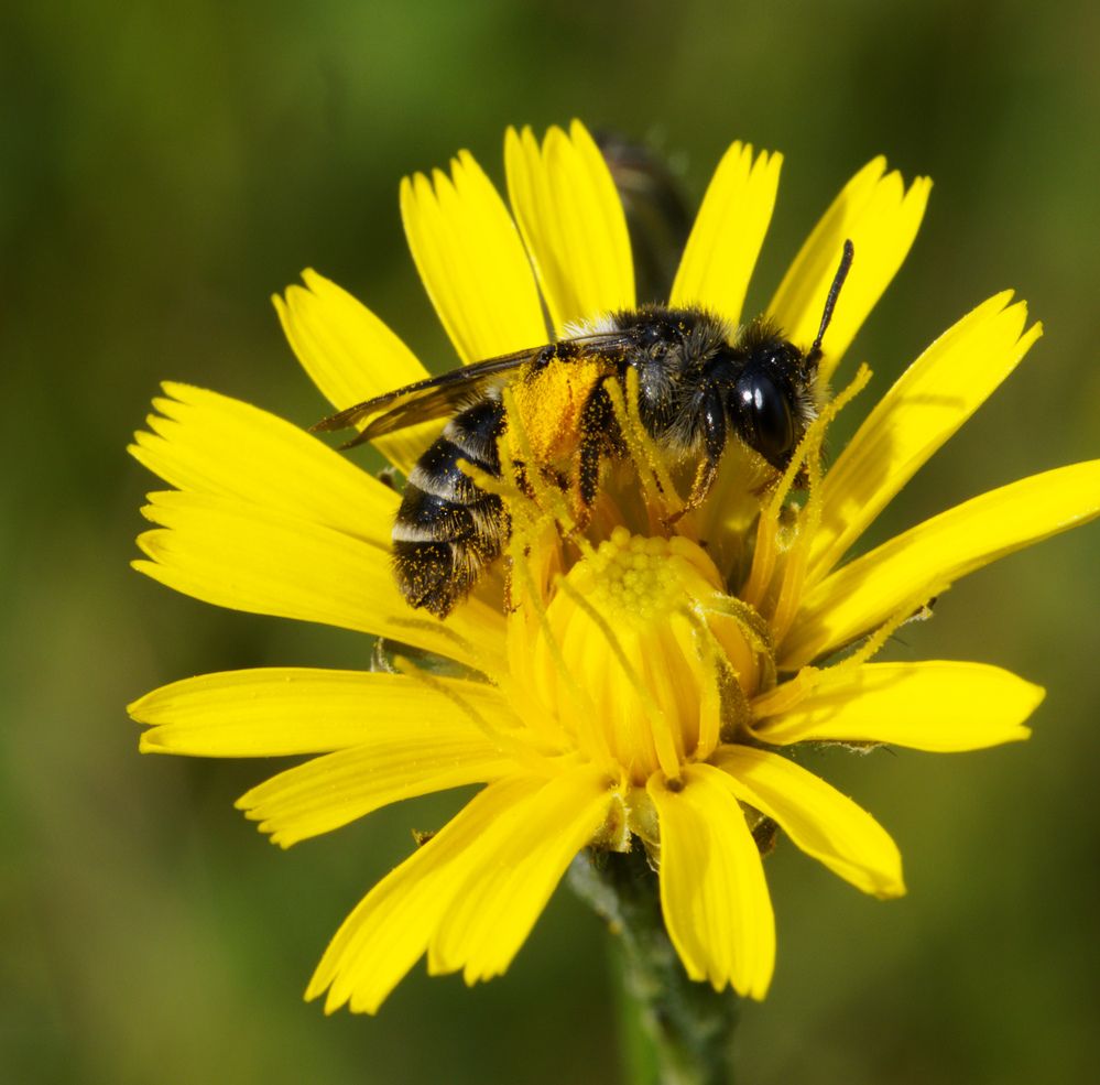 Photograph by Павел Кулинич