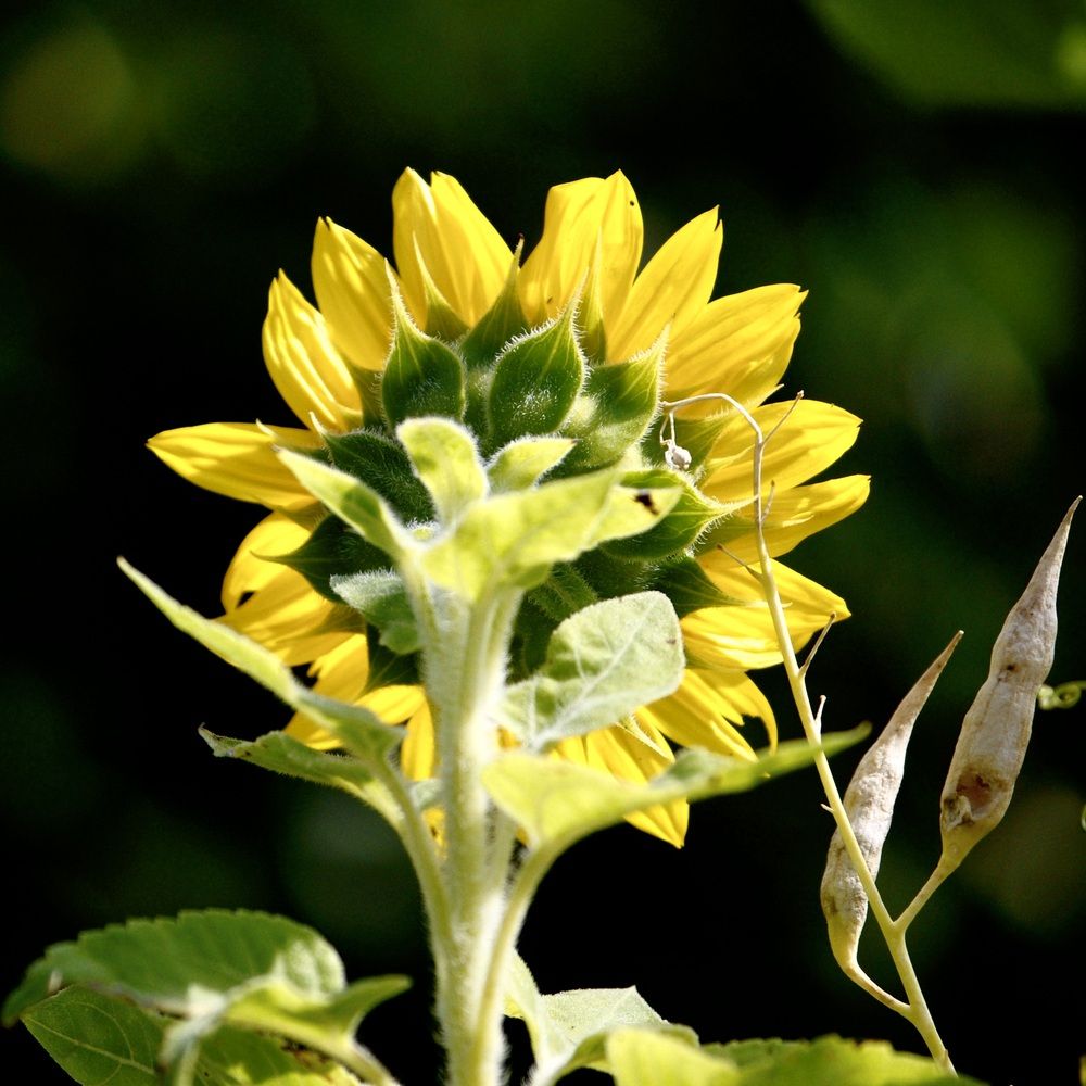 Photograph by Dario Meroni