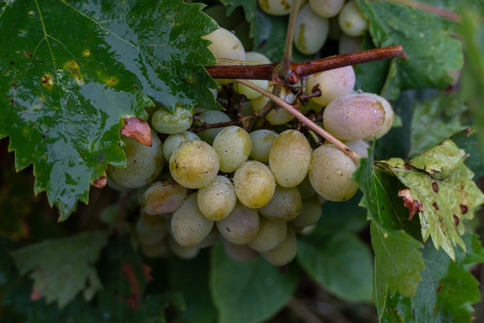 Фотография автора Aksiniya