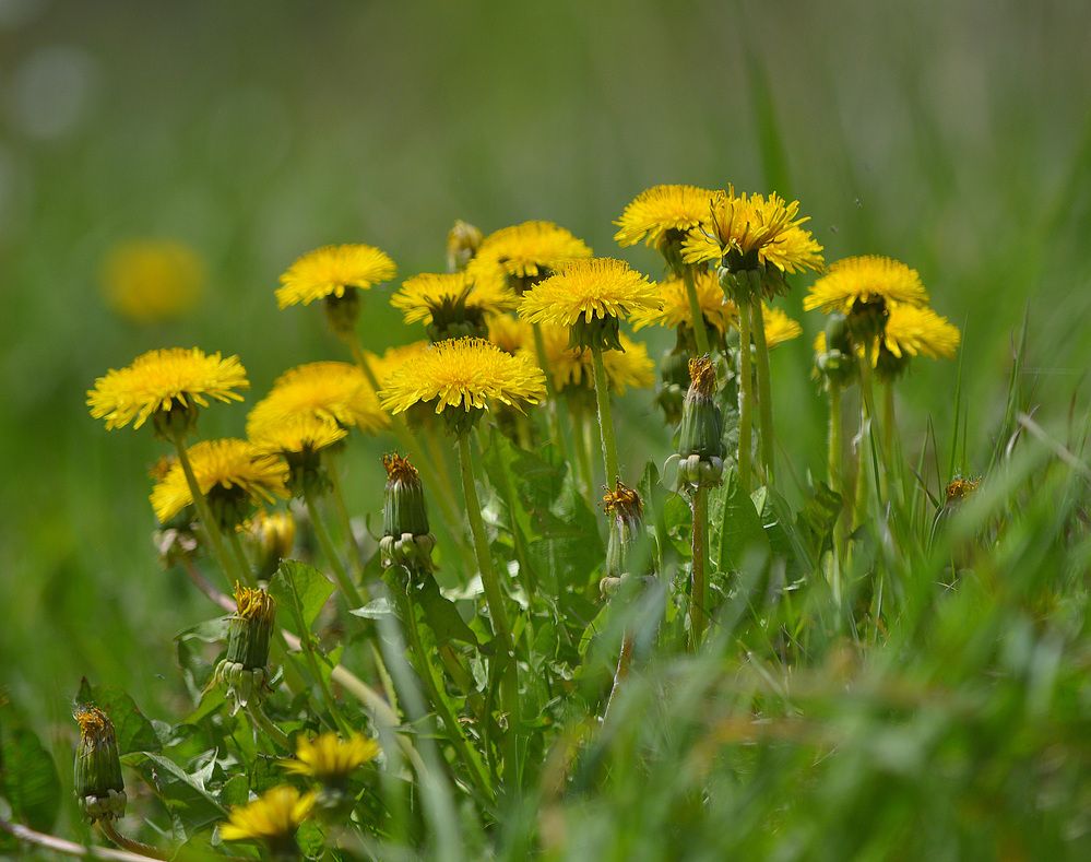Фотография автора Сергей Суворов
