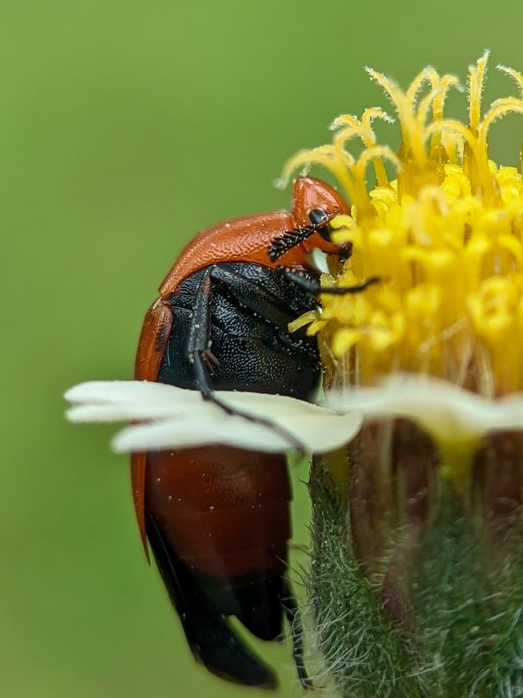 Photograph by Ameen Ahmed L