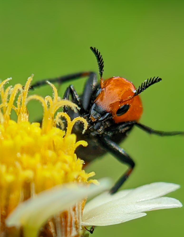 Photograph by Ameen Ahmed L