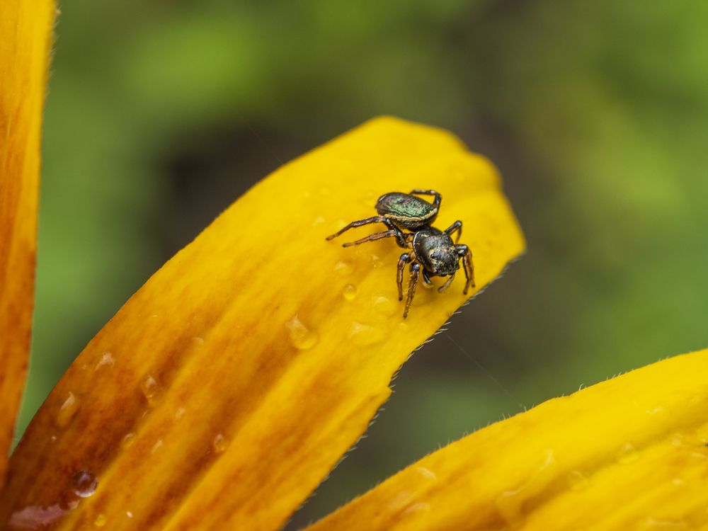 Photograph by Надежда Михайлина