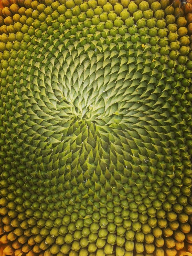 Photograph by Анна Якубинас