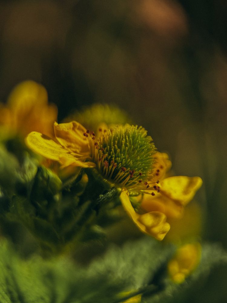 Photograph by Александра Кишикова