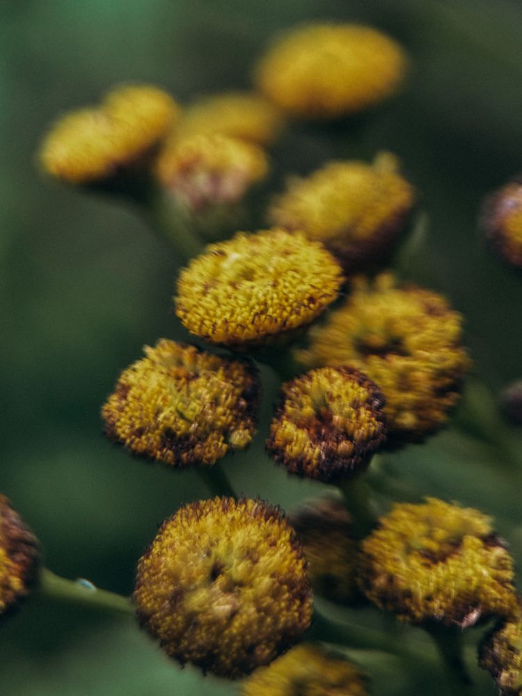 Photograph by Александра Кишикова