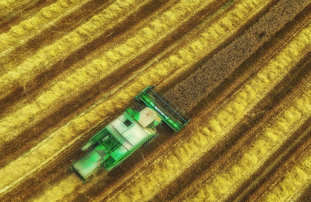 Photograph by Guy Krier