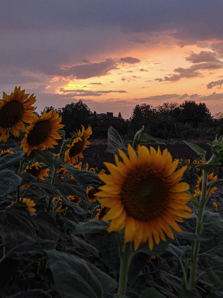 Photograph by Марина