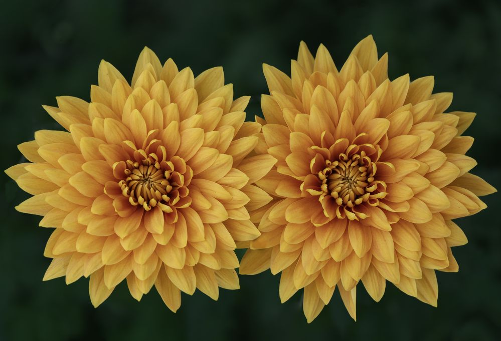 Photograph by Margoth Toro