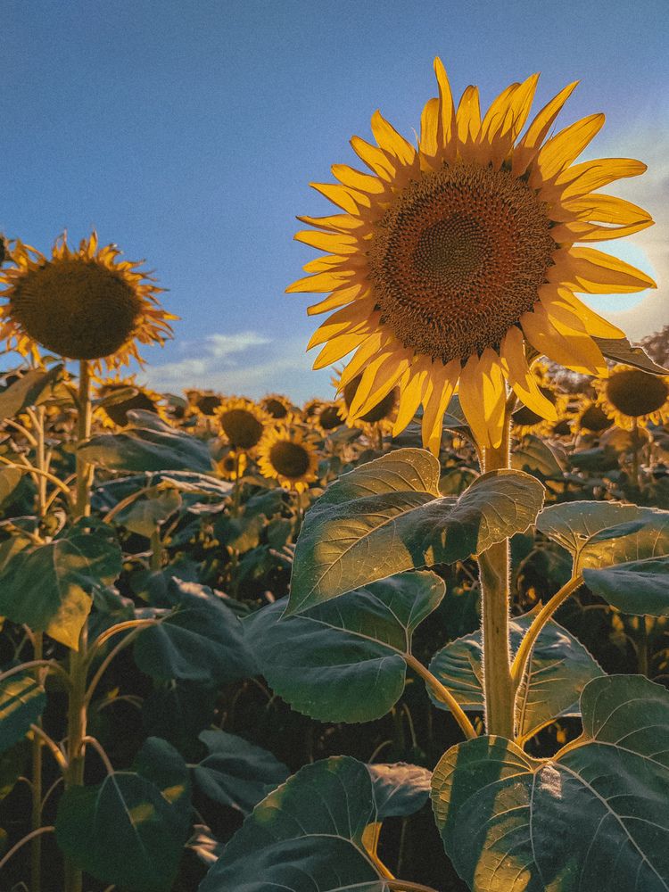 Photograph by Марина