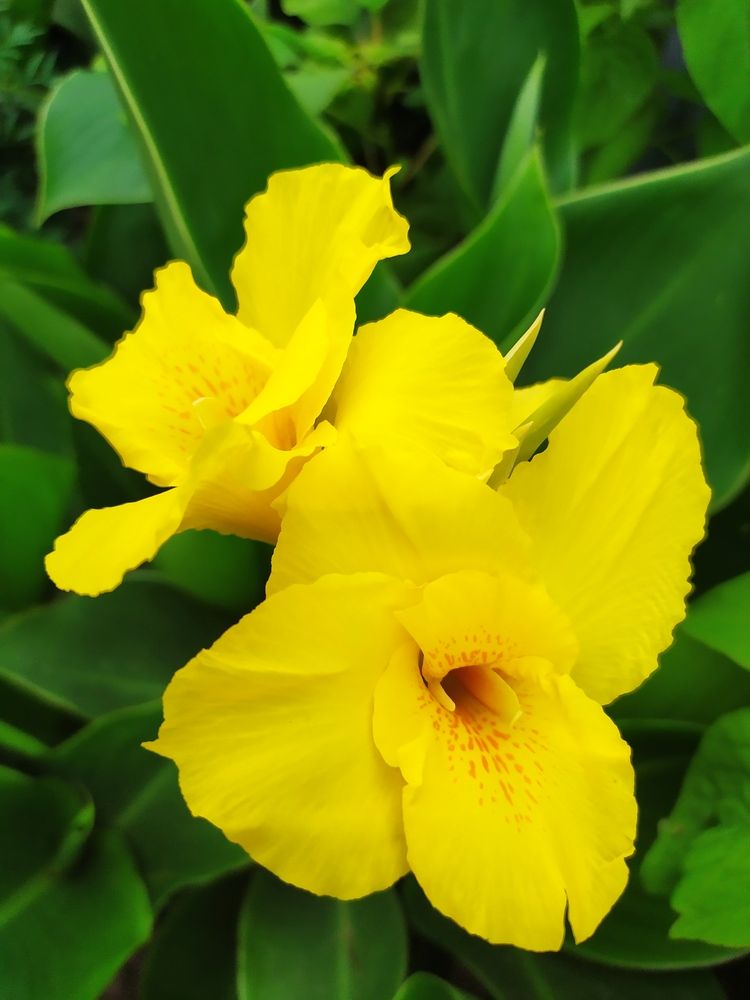 Photograph by Татьяна Клемба