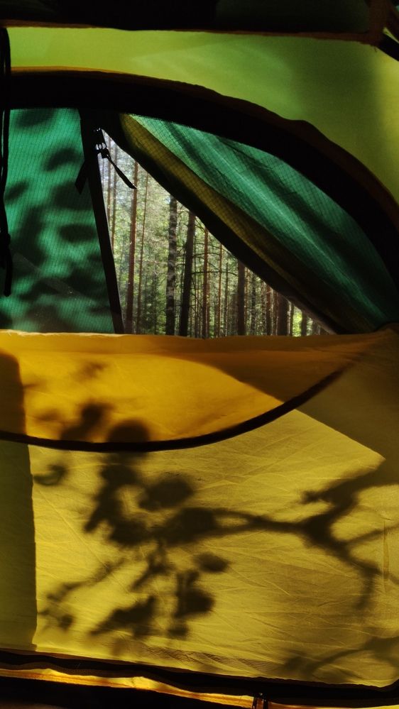 Photograph by Калюнова Наталья