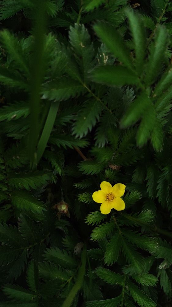 Photograph by Калюнова Наталья