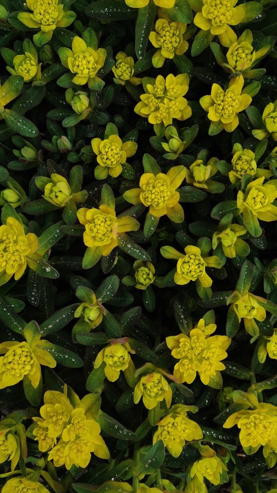 Photograph by Калюнова Наталья