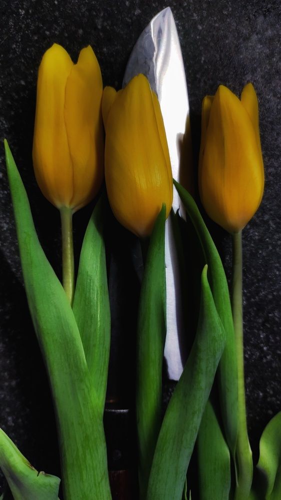 Photograph by Калюнова Наталья