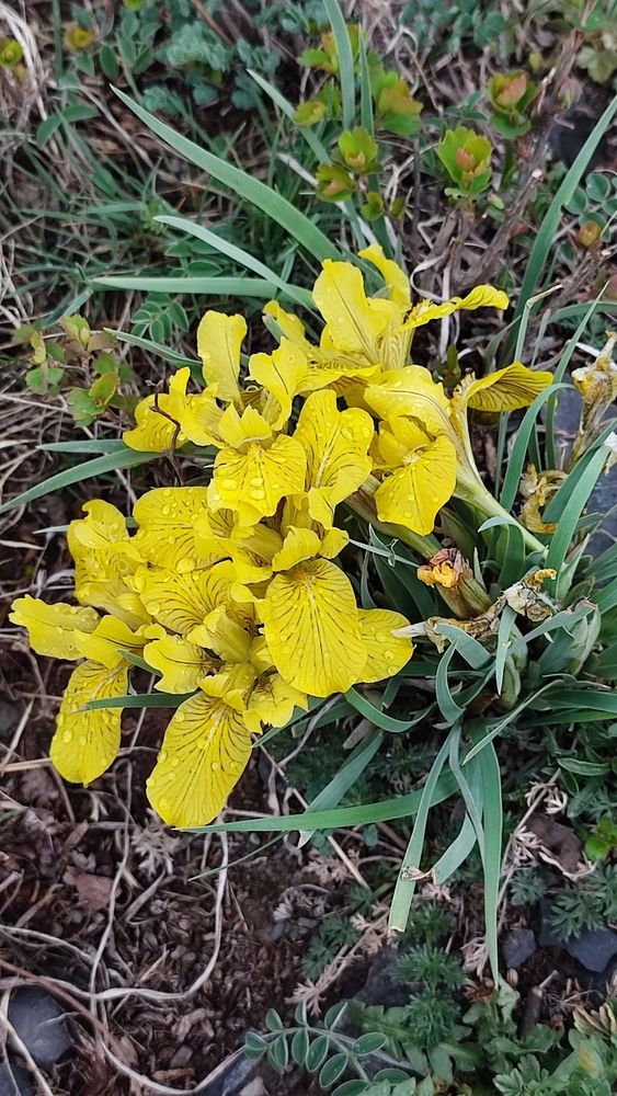 Photograph by Полина Скурская