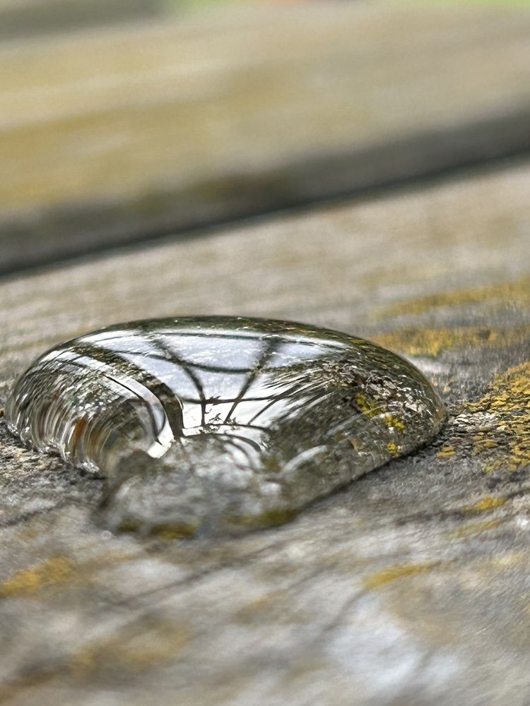 Photograph by Ольга Евтухова