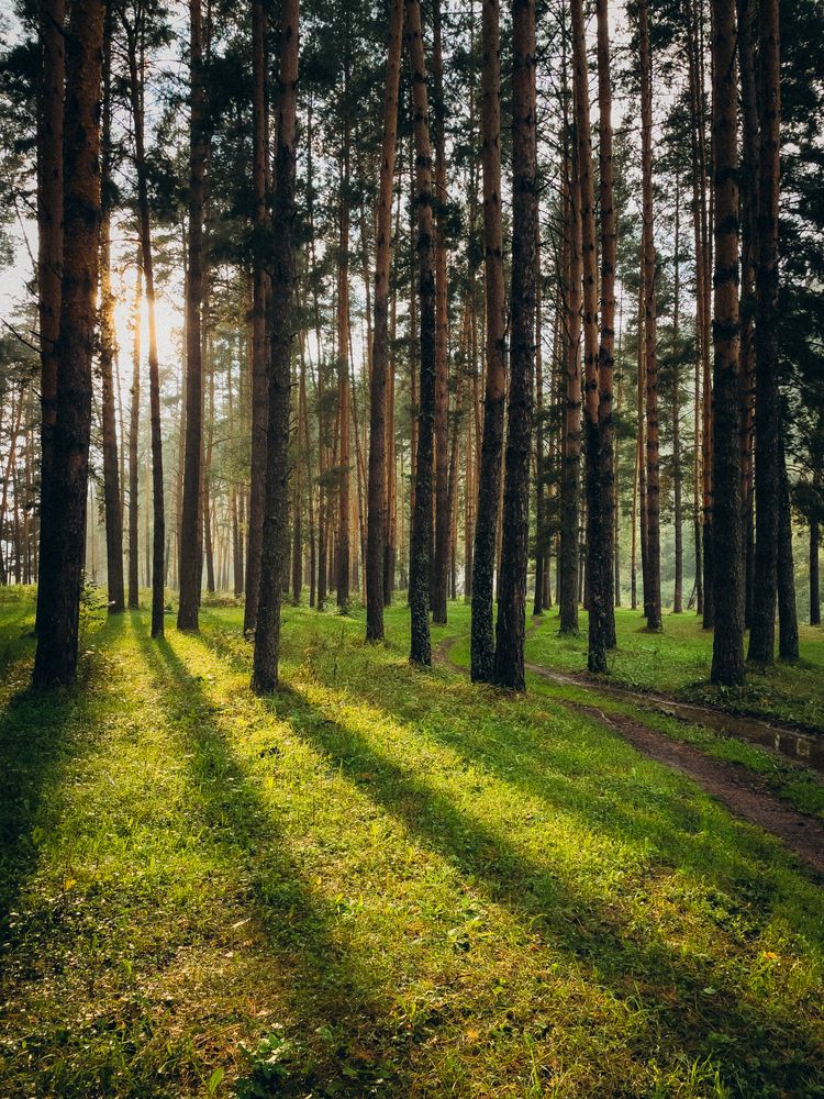 Photograph by Кристина