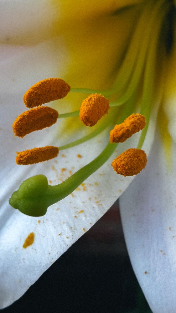 Photograph by Кристина