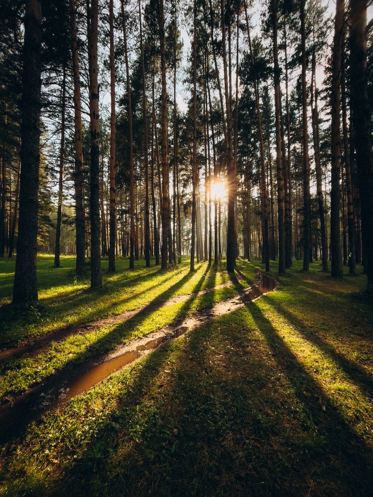 Photograph by Кристина