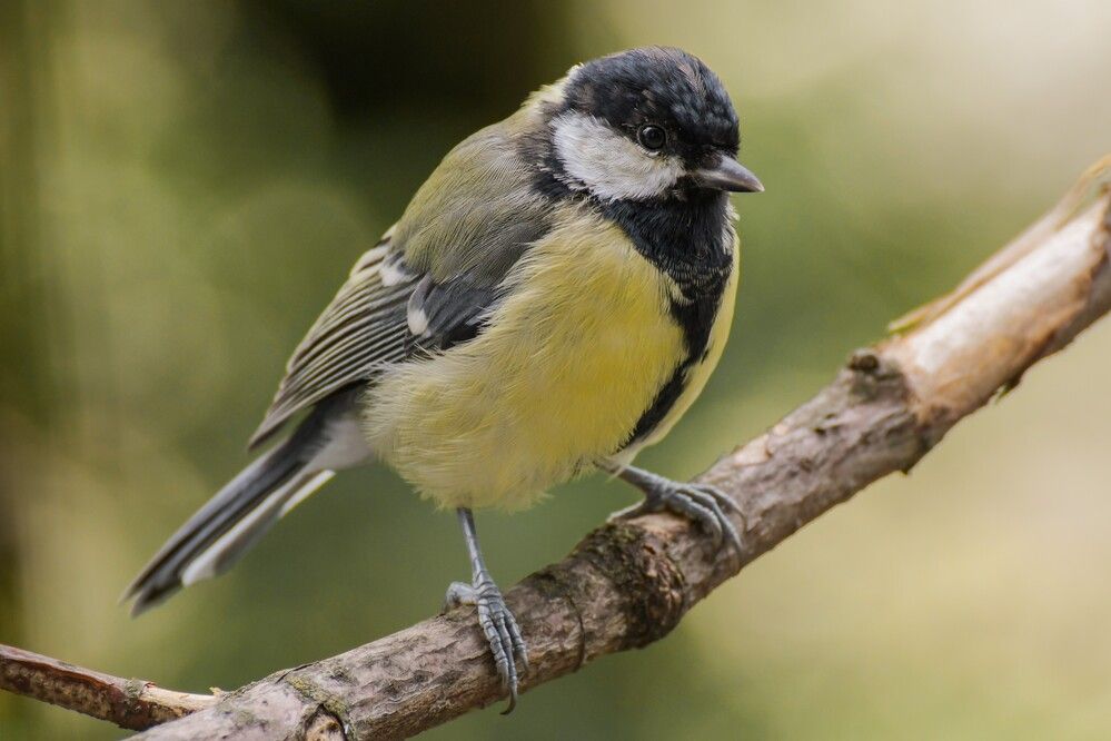 Photograph by Наталья Екимова