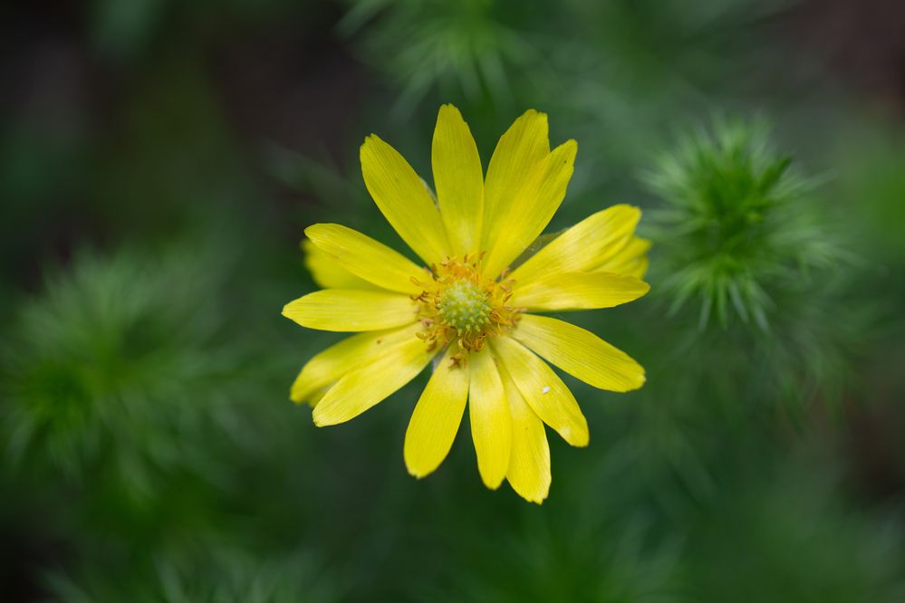 Photograph by Denis Phominov