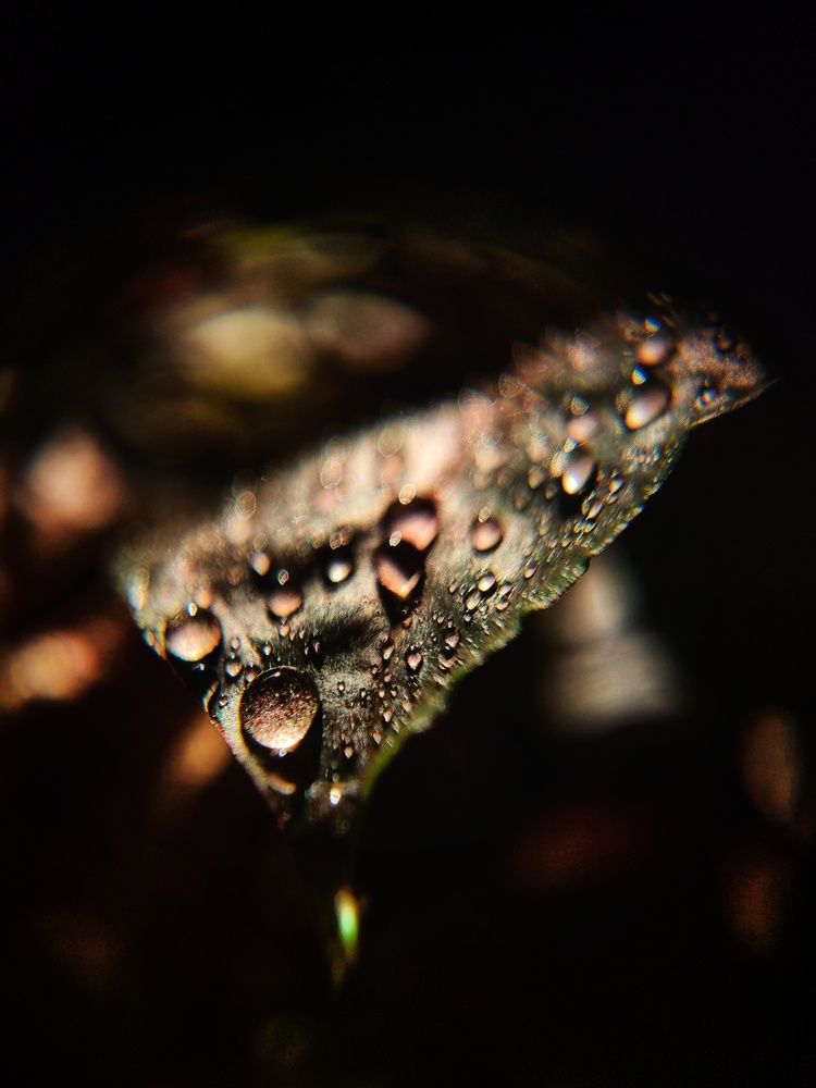 Photograph by Александра Кропивка