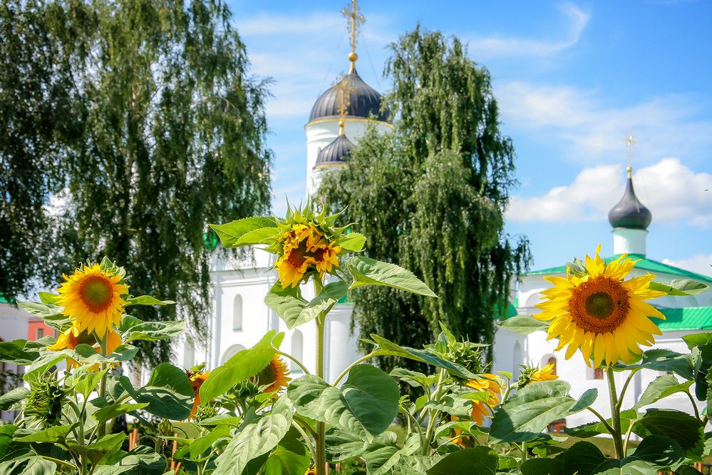 Photograph by Алексей Трифонов