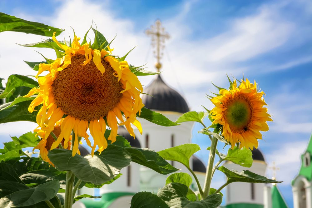 Photograph by Алексей Трифонов