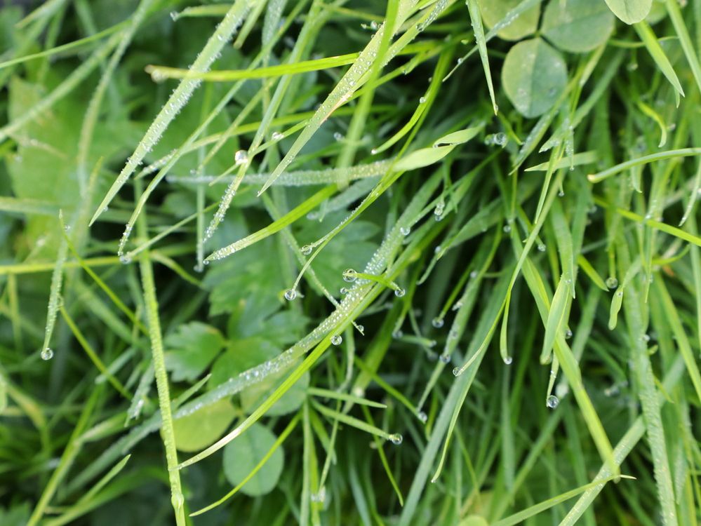 Photograph by Ольга Мольдон