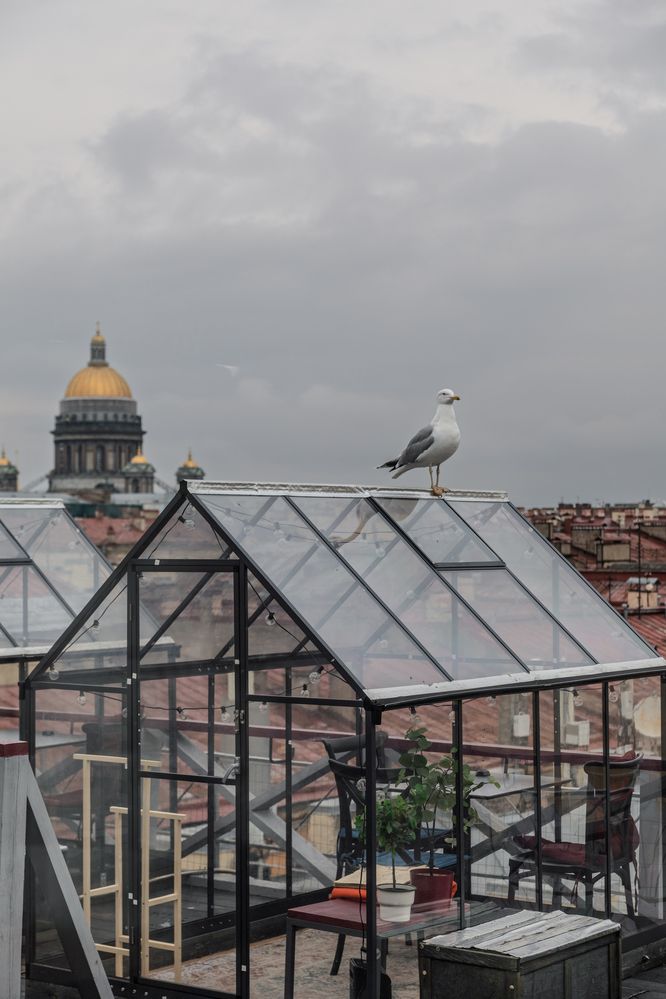Photograph by Иван Васильев