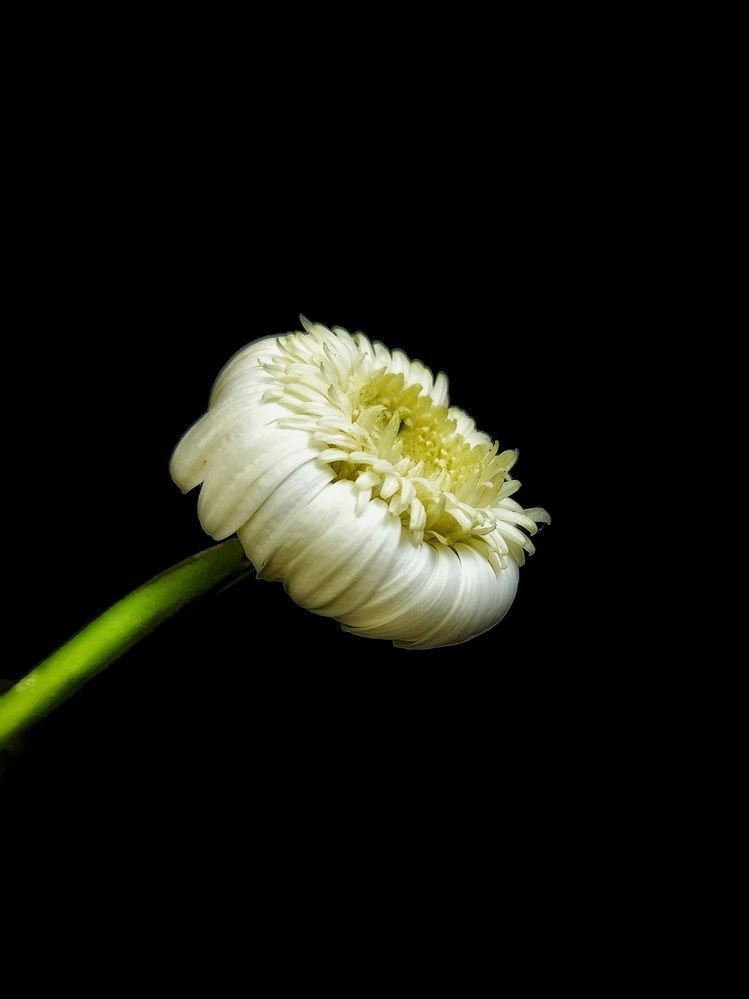 Photograph by Александра Кропивка