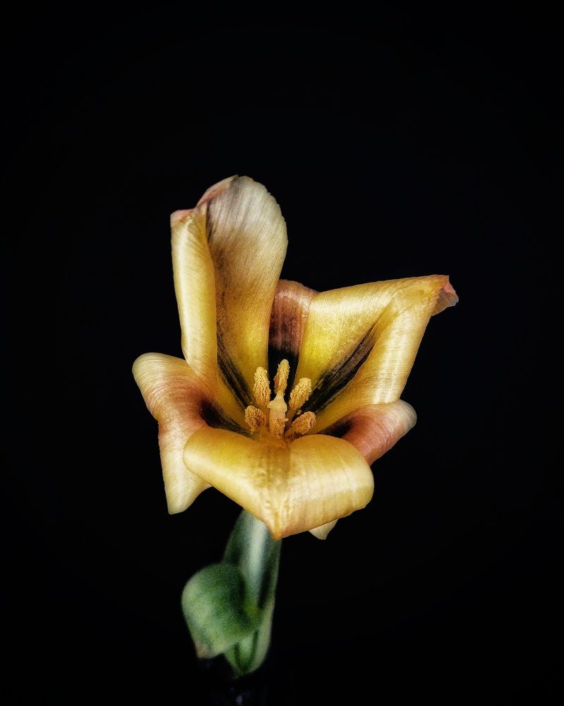 Photograph by Александра Кропивка