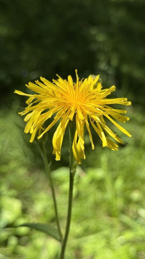 Photograph by Марина Мишутина