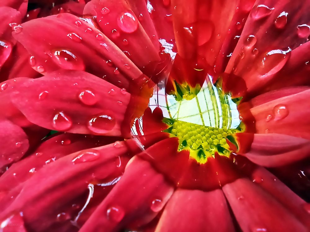 Photograph by Алена