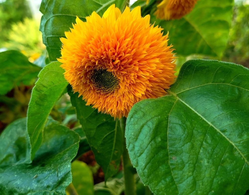 Photograph by Светлана Льдокова