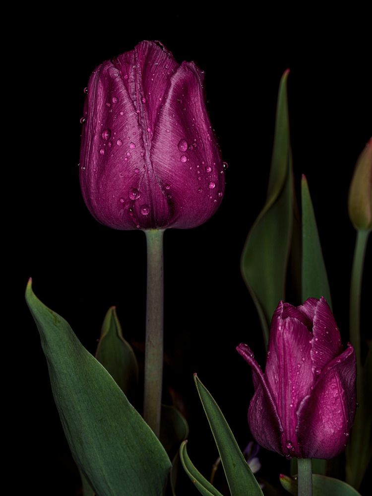 Photograph by Дмитрий Поварков