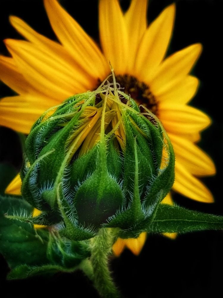 Photograph by Polina Svirida