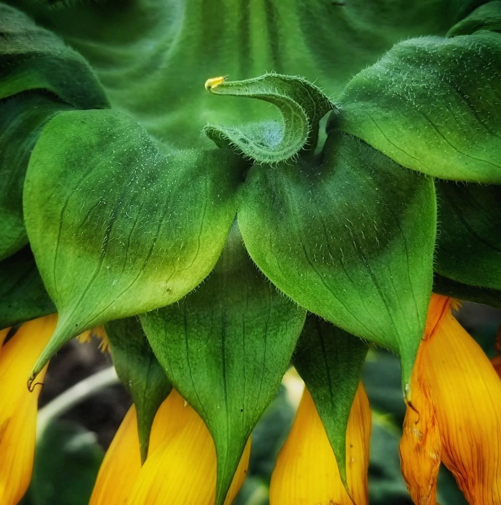 Photograph by Polina Svirida