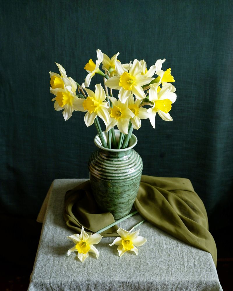 Натюрморт с нарциссами.
