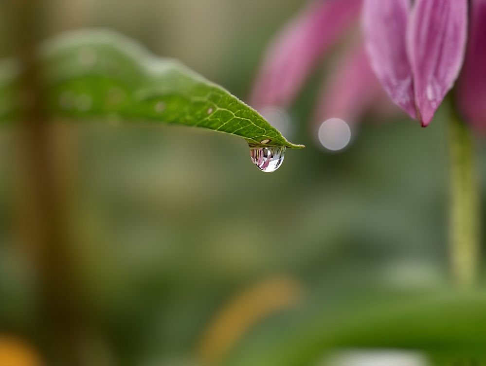 Photograph by Сергей Горбунов