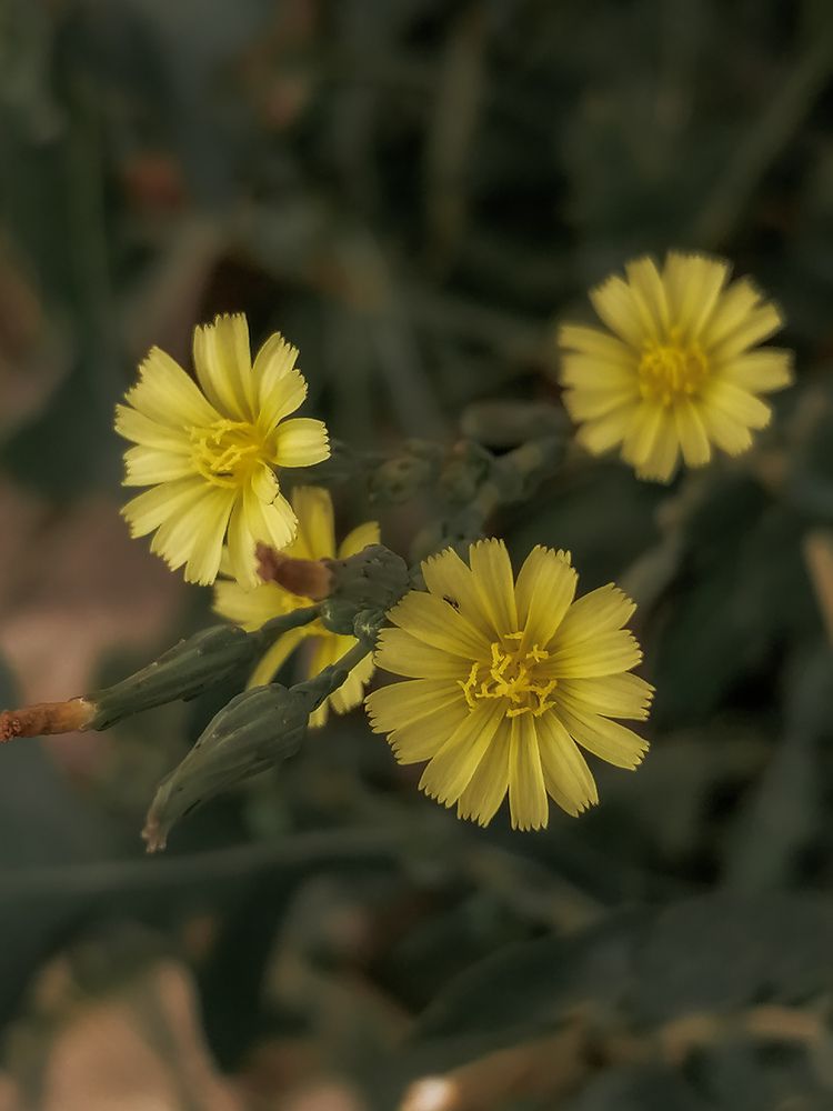 Photograph by Наталия Соболева