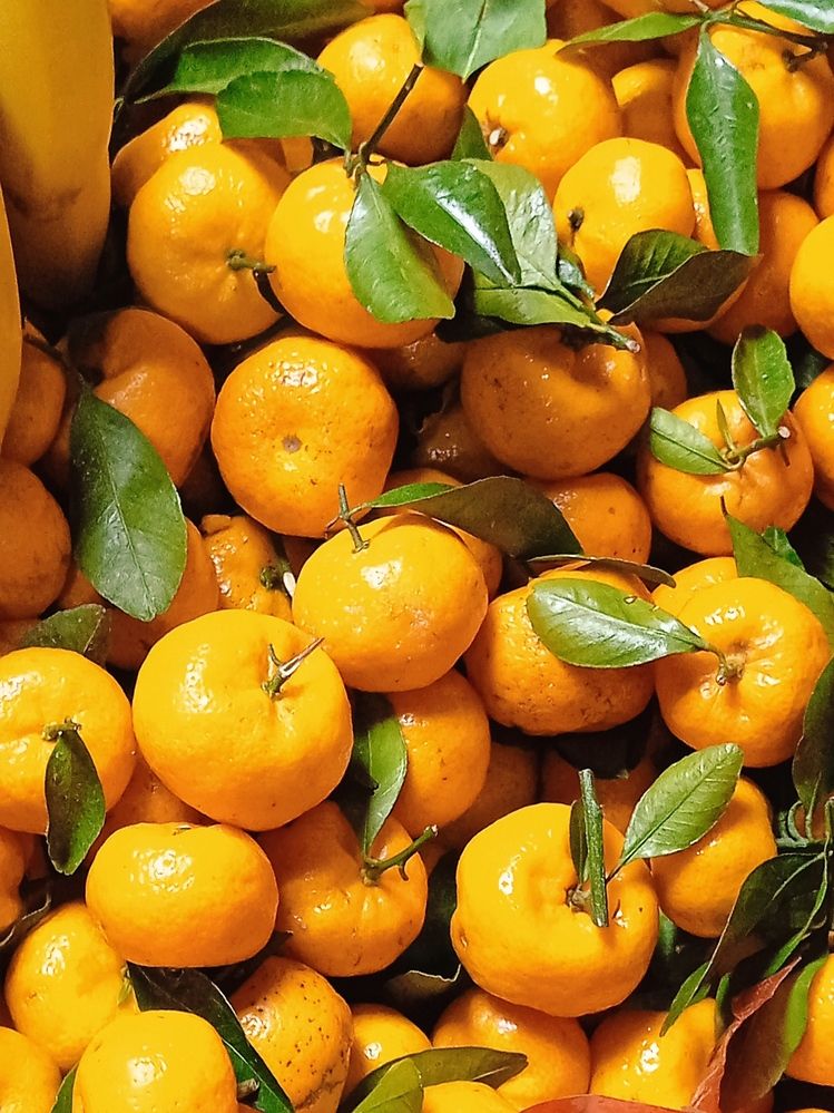 Photograph by Наталья Назаренко