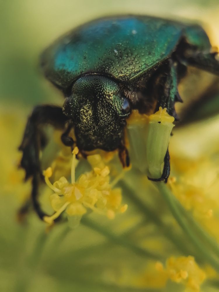 Photograph by Наталия Соболева