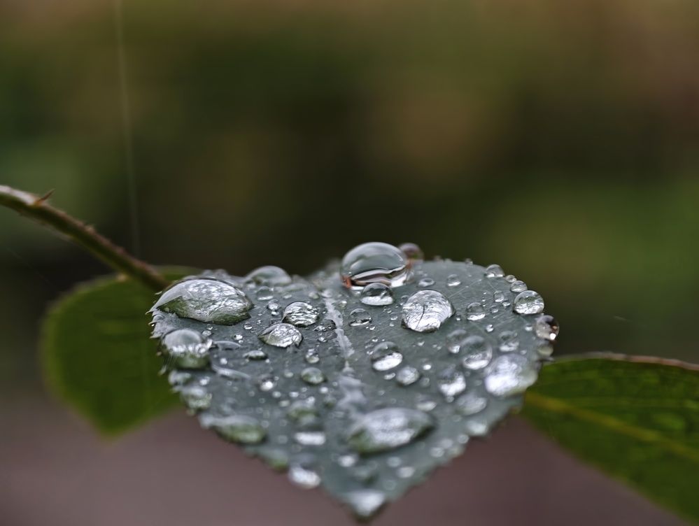 Photograph by Сергей Горбунов