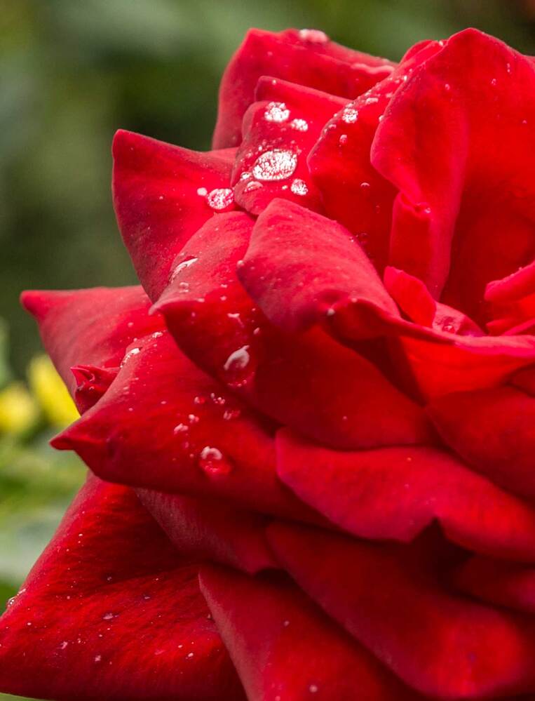 Photograph by Владимир Зубов